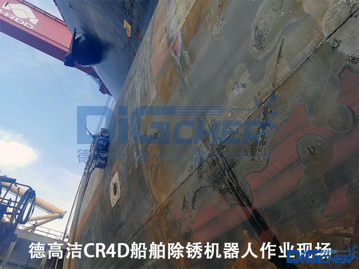 �¸ߝ�CR4D�������P�C(j��)�������I(y��)�F(xi��n)��